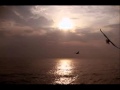 ΝΙΚΟΣ ΠΑΝΟΣ - ΚΑΤΑΡΑ