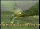 IONA - HERE I STAND - FROM DVD "IONA"