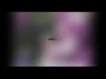 Anime44 動画14b