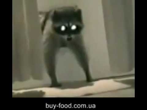 Коврик для котов Коврик для котов