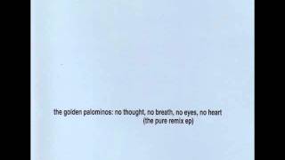 Watch Golden Palominos No Skin video