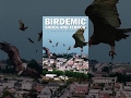 Birdemic