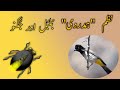 Nazm Hamdardi Bulbul aur Jugnu | Dr. Allama Iqbal  | Good Mood Land