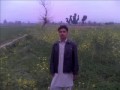 Dada barana shpa da.mpg Dada barana shpa da.mpg