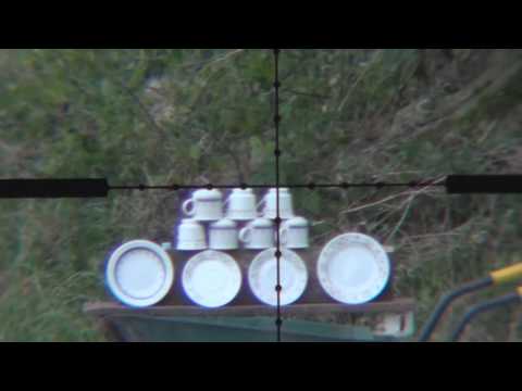  on Cubleycat S Tea Party With Weihrauch Hw100 At 50yards