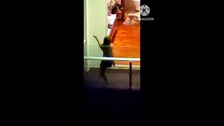 Hot Girl Dance Papari Wait For