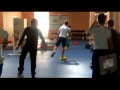 Circuito Forza Preventivo