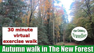 A picturesque Autumn walk in the woods in The New Forest, with music #exerciseathome