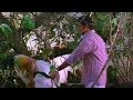 Tempting Scene - Rathi Nirvedam Telugu Romantic Movie - Swetha Menon