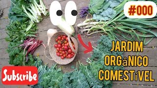 Jardim Orgânico Comestível - Oeste da Galileia, Israel