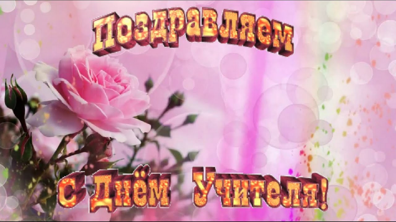 Видеоролик поздравления с праздником Видеоролик поздравления с праздником