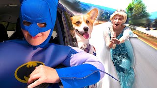 Superheroes Surprise Funny Dog With Dancing Car Ride 2