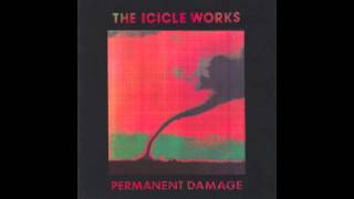 Watch Icicle Works Turn Any Corner video