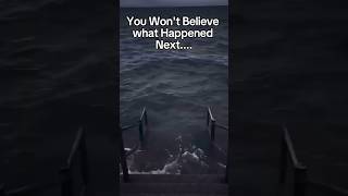 See What Naughty Kitty Is Doing