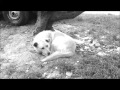 Y si fuera tu hijo? - Cortometraje Y si fuera tu hijo? - Cortometraje