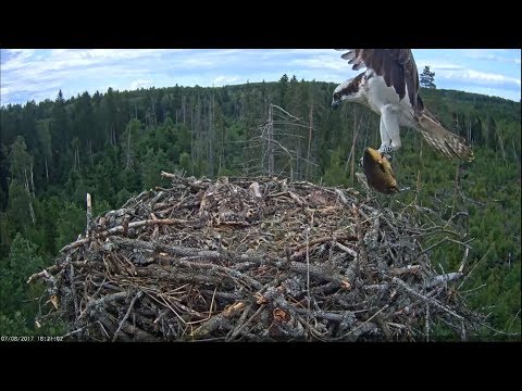 Digging A Hole Video