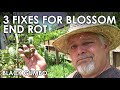 EMERGENCY! 3 Fixes for Blossom End Rot || Black Gumbo