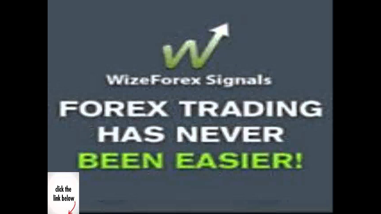 signal forex trading on youtube