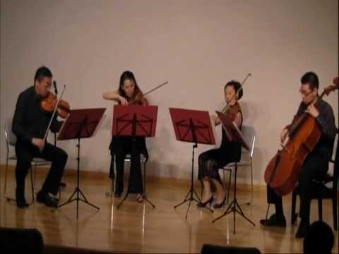 violin on deck Video
