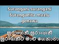 Suranganita maalu genawa without voice - Manoharan karaoke - Srilankan baila karaoke, to dance !