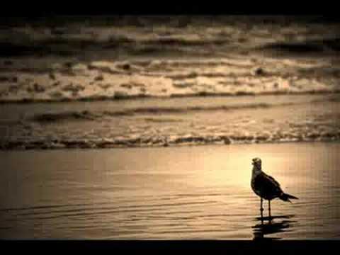 a romance thesis lyrics a romance thesis lyrics