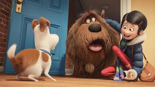 The Secret Life Of Pets Recap Full Story Explained