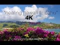1 HR Calming Music + 4K Nature: "Healing Hawaii II" Oahu ft LIQUID MIND (Music Only Version)