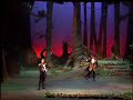 Into the Woods - Agony