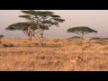 Melissa Nkonda - Africa (Dj Angelo 'Global Fantasy' Remix)