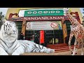 Nandankanan Zoological Park | 2nd Largest Zoo in India | Odisha Tourism | Update 2022