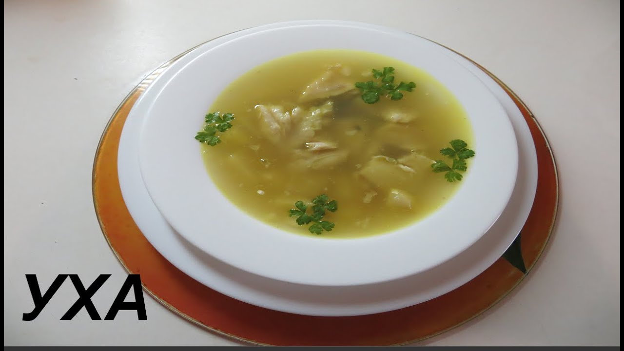 Рецепты ухи из речной рыбы в домашних условиях Рецепты ухи из речной рыбы в домашних условиях