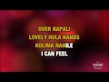 Lovely Hula Hands in the Style of "Alfred Apaka" with lyrics (with lead vocal)