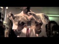 YouTube YouTube