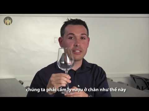 CÁCH CẦM LY RƯỢU VANG