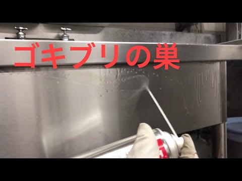 ゴキブリ駆除お任せ下さい!