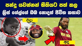 Chris Gayle Life Story