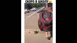 Первоклассник Против Одиннадцатиклассника 😂😂😂 #Shorts