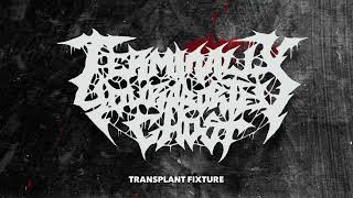 Watch Terminally Your Aborted Ghost Transplant Fixture video