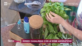 I rimedi casalinghi con le erbe aromatiche - TuttoChiaro 05/08/2019