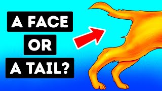 Optical Illusions Test Your Eyes And Reveal Your Personality Type