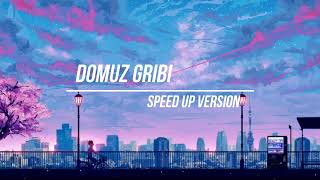 Oğuzhan Koç - Domuz Gribi (Speed Up)