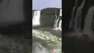 Alok - Ocean Feat.zeeba & Iro Video Para Status
