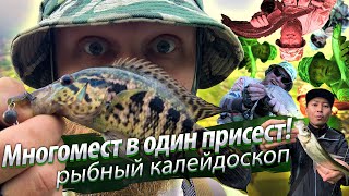 Рыбалка на РИСОВЫХ ПОЛЯХ и КАНАЛАХ. Разнорыбье. 2020/03