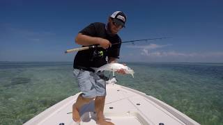 Key West Bonefish And Permit Fishing