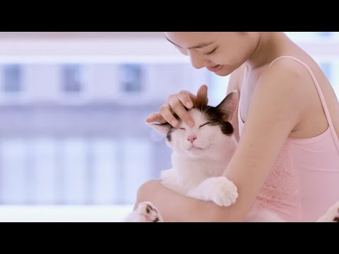映画『私と猫のサランヘヨ』予告編