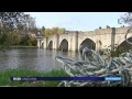 2016 11 19 codep87 nettoyage bords Vienne 2016 11 19 codep87 nettoyage bords Vienne