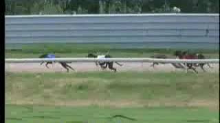 IGB - Friday Night Racing A3 / A4 26/06/2019 Race 10 - Kilkenny
