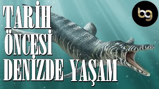 Tari̇h Öncesi̇ Deni̇zlerde Yaşam Tari̇h Belgesel Bg