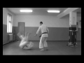 Video Sabaki Method Adaptive Aikido.wmv