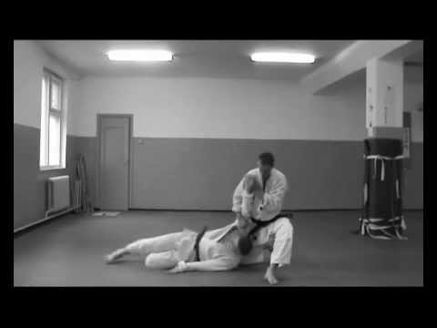 Sabaki Method Adaptive Aikido.wmv